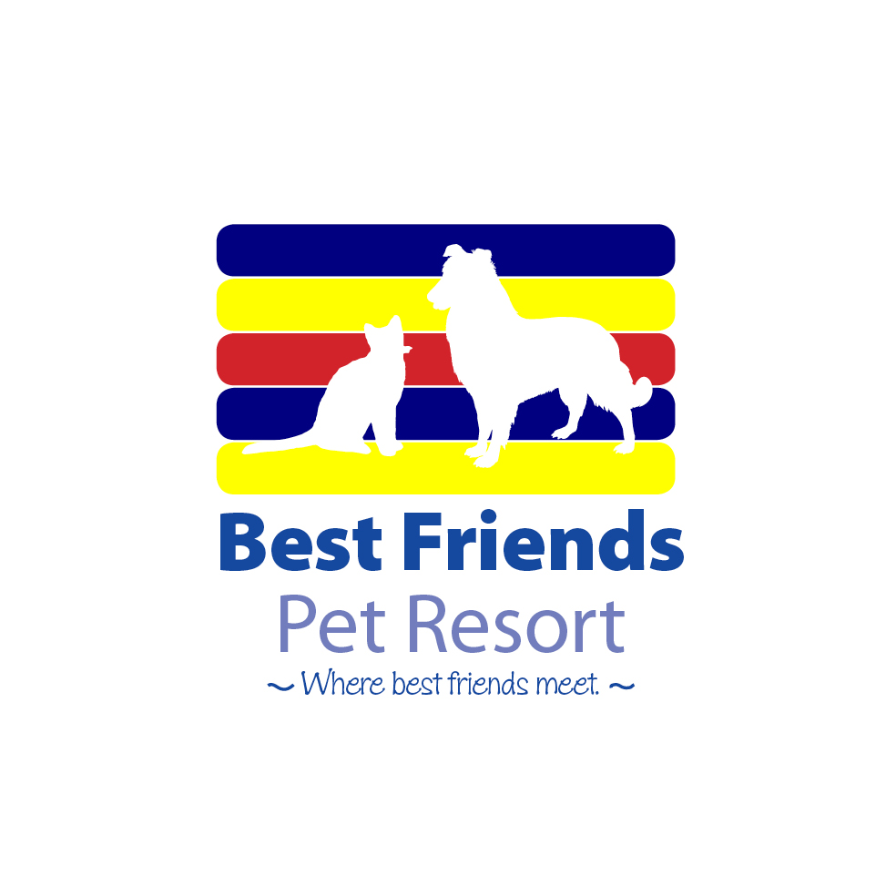 Best Friends Kennels & Cattery | veterinary care | 96 Acton Rd, Acton Park TAS 7170, Australia | 0362486323 OR +61 3 6248 6323