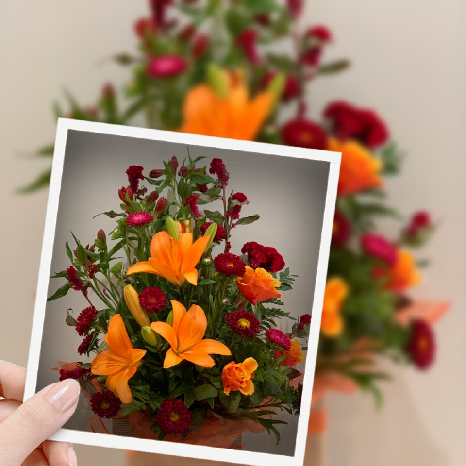 Jádore Flowers and Gifts | florist | shop 3/42-44 Balaclava Rd, Earlville QLD 4870, Australia | 0740330719 OR +61 7 4033 0719