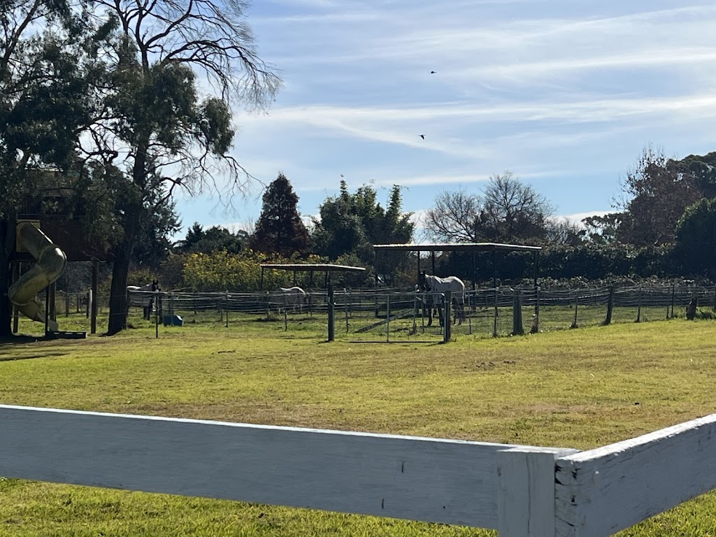 Sydney Hills Equestrian | 3254 Old Northern Rd, Glenorie NSW 2157, Australia | Phone: 0488 210 548