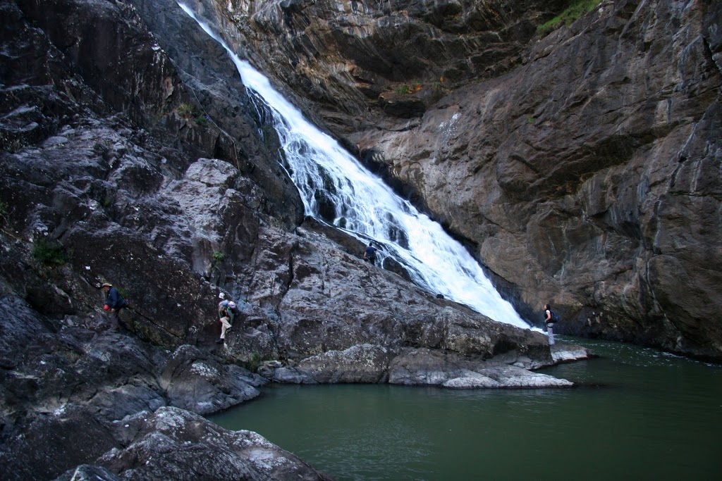 Wrattens National Park | park | Wrattens Forest QLD 4601, Australia