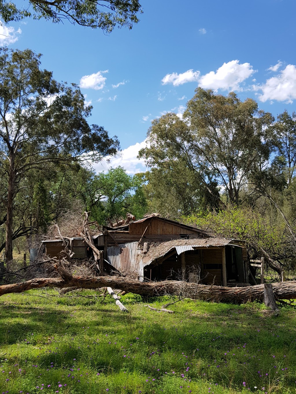 Kwiambal National Park | park | Ashford NSW 2361, Australia | 0267364298 OR +61 2 6736 4298
