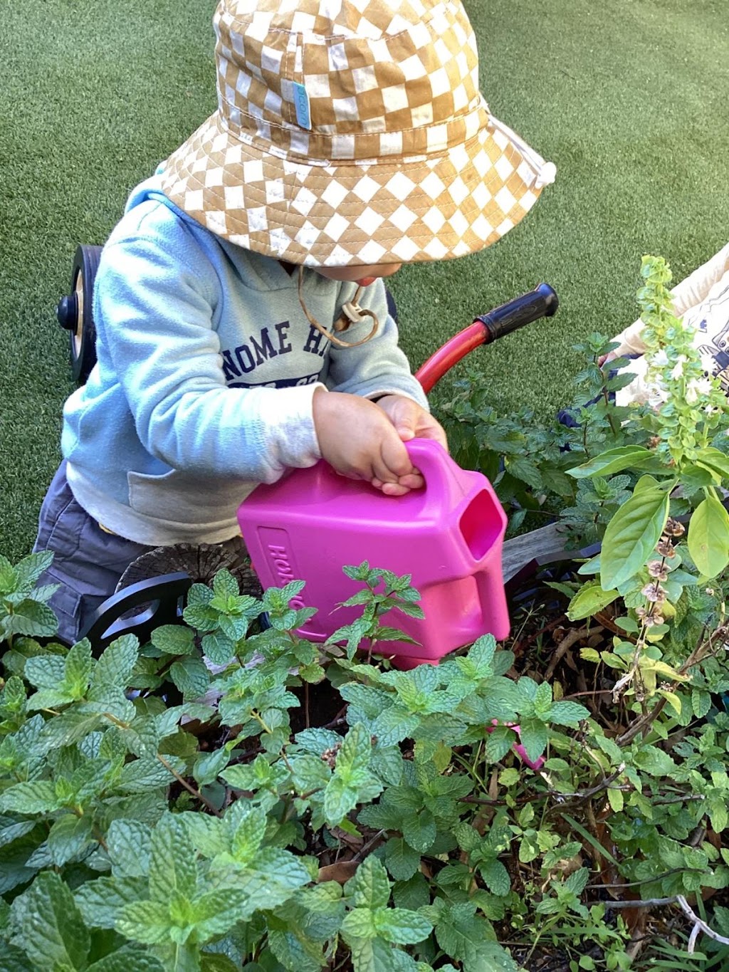 Chantel Learning Childcare Centre | 35 Scott St, Mortdale NSW 2223, Australia | Phone: (02) 9570 8763