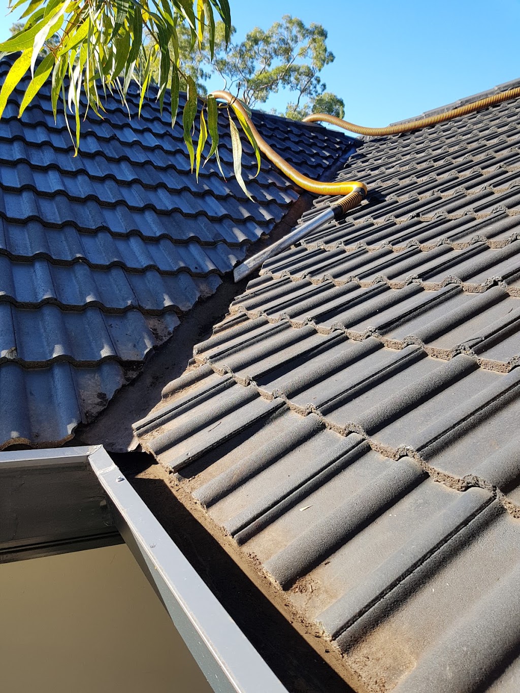 Ace Vacuum Gutter Cleaning |  | 31 Osprey Dr, Illawong NSW 2234, Australia | 0410517180 OR +61 410 517 180