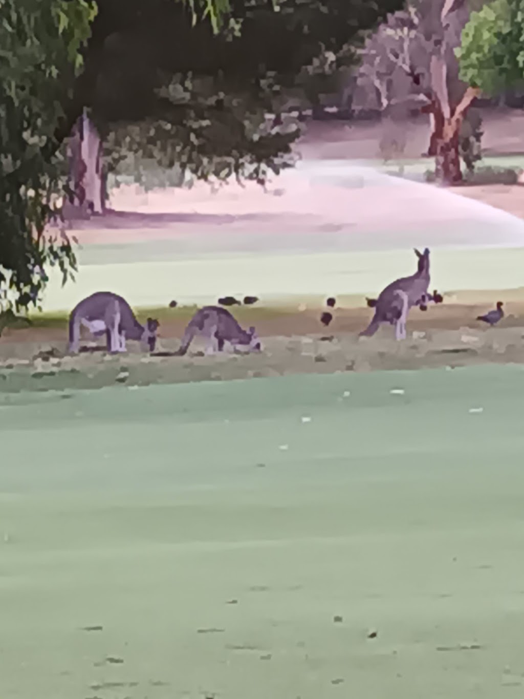 Brolgaroo Caravan Park | 13-17 Banker St, Barooga NSW 3644, Australia | Phone: (03) 5873 4331