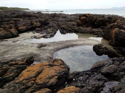 Cape Liptrap Coastal Park | park | Tarwin Lower VIC 3956, Australia | 131963 OR +61 131963