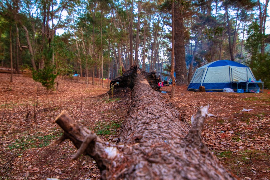 Nanga Mill Campground | Unnamed Road, Nanga Brook WA 6215, Australia | Phone: 0414 399 024