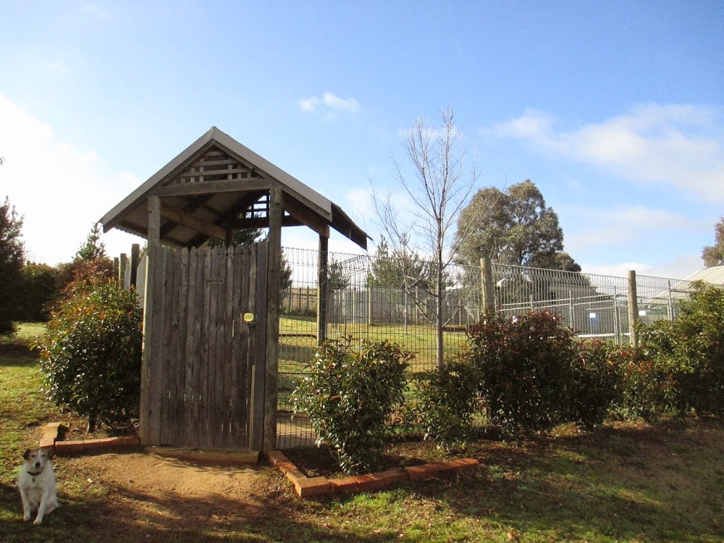 Bathurst Boarding Kennels & Cattery | 113 Evans Plains Rd, Dunkeld NSW 2795, Australia | Phone: (02) 6337 3886