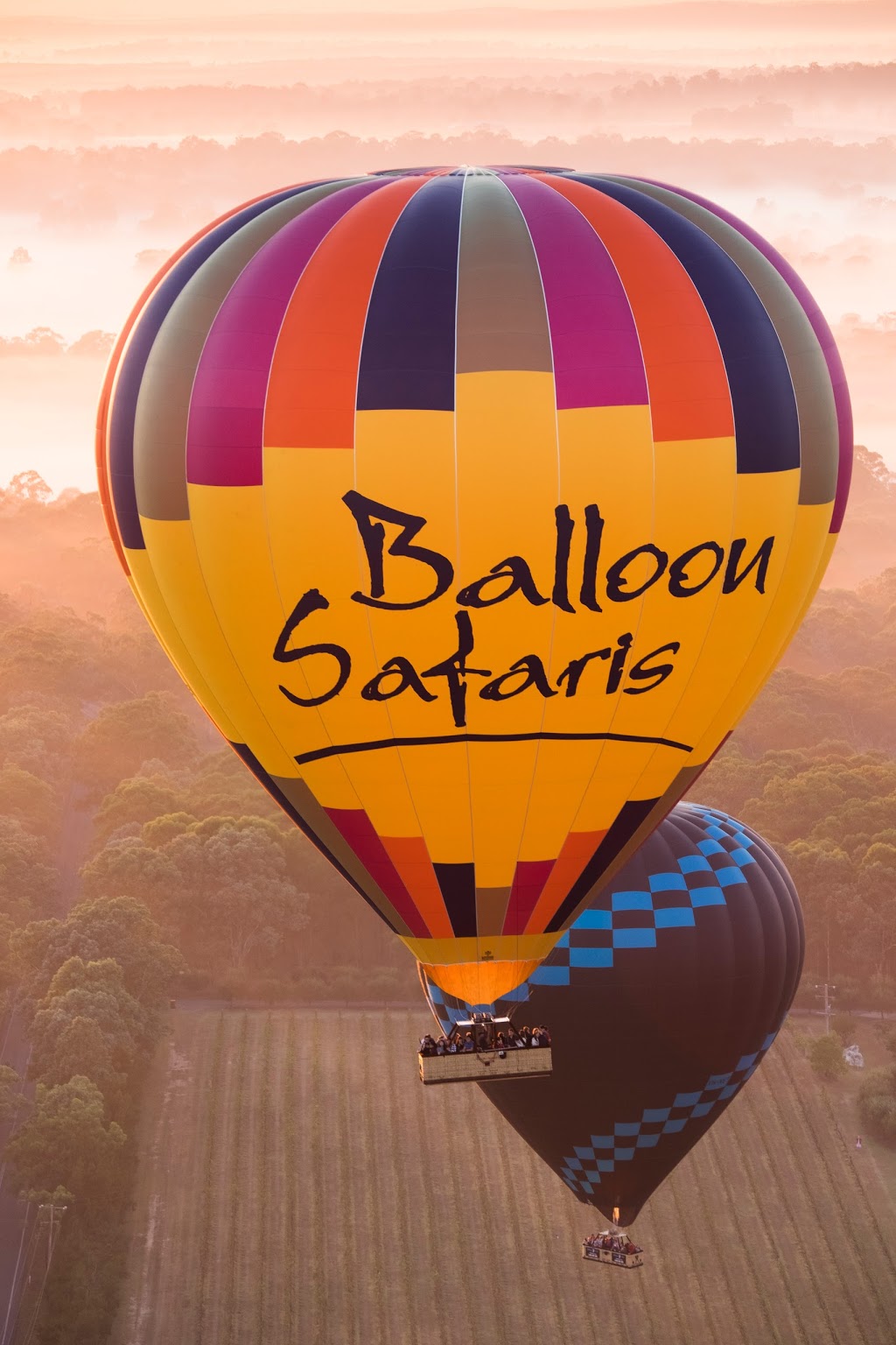 Balloon Safaris | travel agency | 2/26 Lodge Rd, Lovedale NSW 2325, Australia | 0249909776 OR +61 2 4990 9776