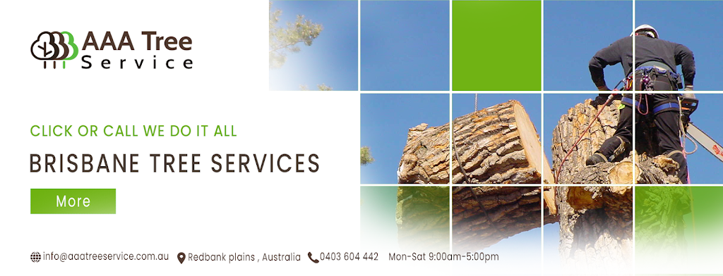 AAA Tree Services |  | 71A Rosemary St, Bellbird Park QLD 4300, Australia | 0423660030 OR +61 423 660 030