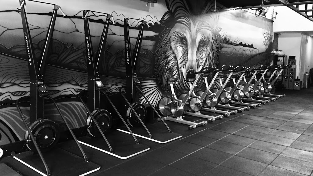 Black Wolf Training Centre | gym | 138 Cotham Rd, Kew VIC 3101, Australia | 0413579893 OR +61 413 579 893