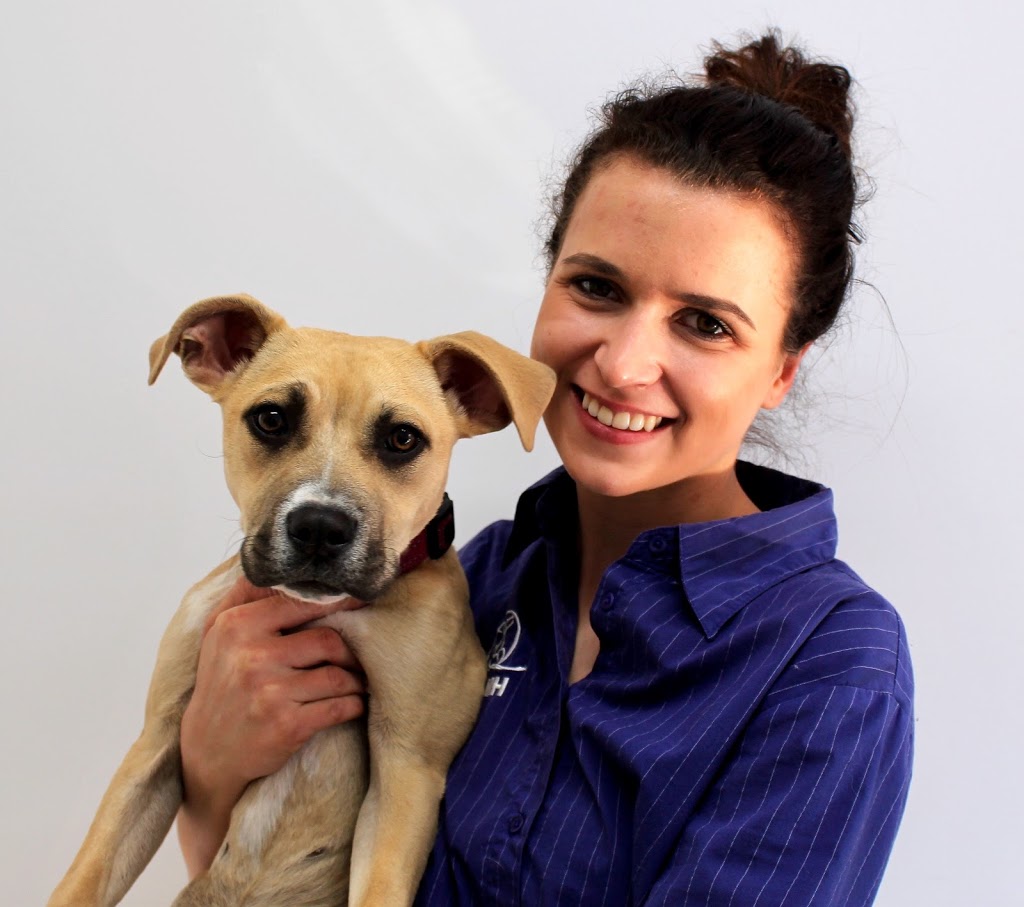 Mona Vale Vet Hospital - Puppy School | veterinary care | 22 Park St, Mona Vale NSW 2103, Australia | 0299992269 OR +61 2 9999 2269