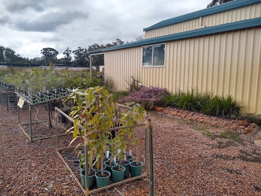 Muchea Tree Farm |  | 94 Archibald St, Muchea WA 6501, Australia | 0895714090 OR +61 8 9571 4090