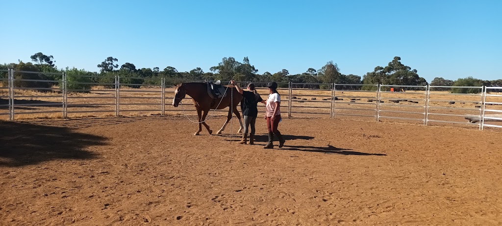Harmony N Horsemanship | Burns Rd, Mount Pleasant SA 5235, Australia | Phone: 0419 144 387