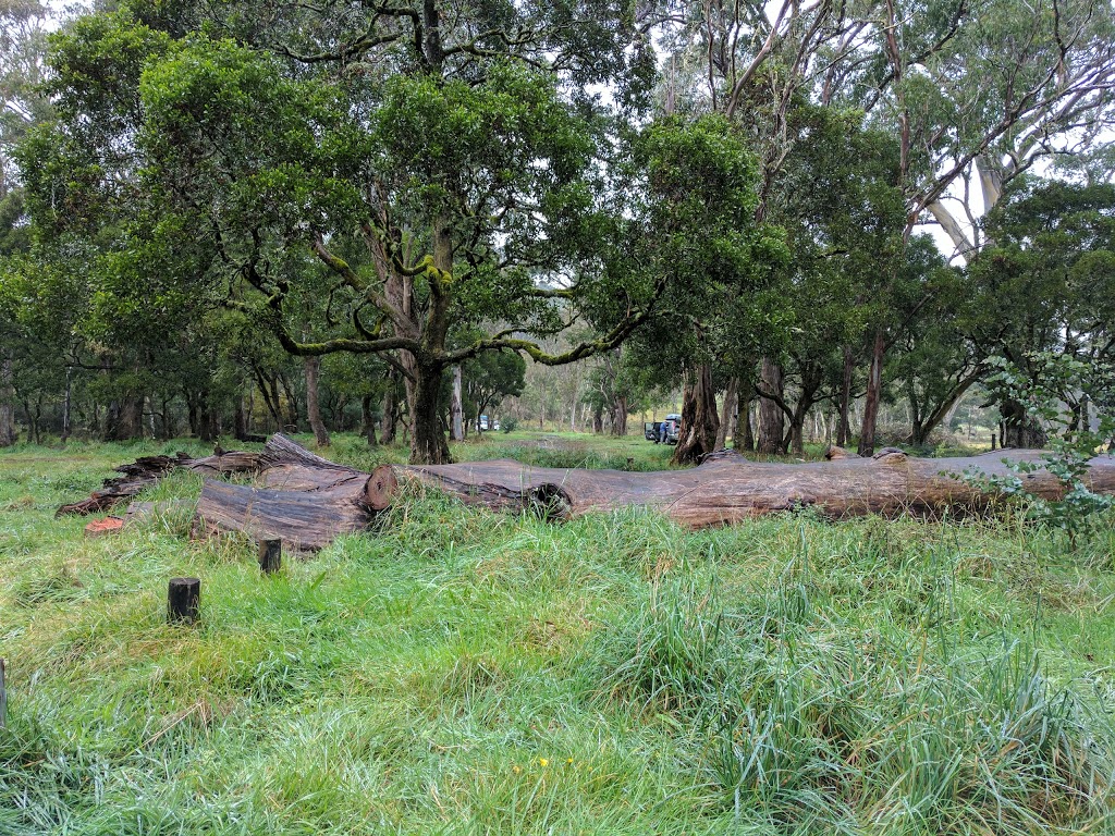 Little Styx River Camping Area | 971 Point Lookout Rd, Ebor NSW 2453, Australia