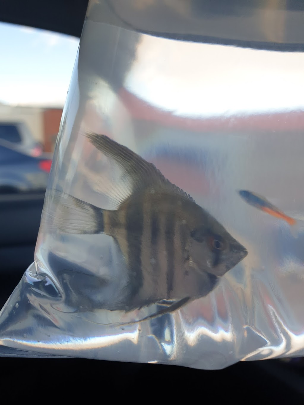 Aquascape Manufacturing | d1/72 Vanity St, Rockville QLD 4350, Australia | Phone: (07) 4633 4665