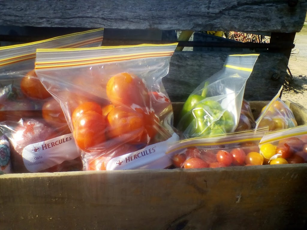 Farm Fresh Fruit & Veg Stall | Hencamp Creek Rd, Rollingstone QLD 4816, Australia | Phone: 0422 596 859
