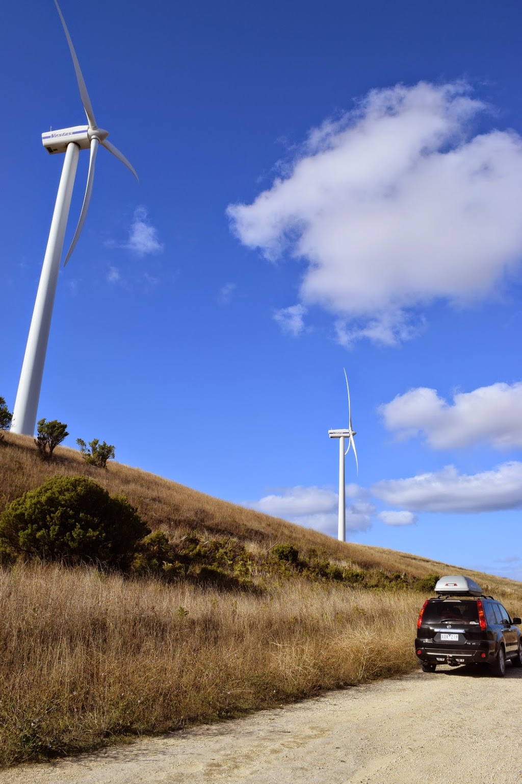 Woakwine Range Wind Farm Tourist Drive | tourist attraction | Canunda Frontage Rd, Tantanoola SA 5280, Australia | 0887330904 OR +61 8 8733 0904
