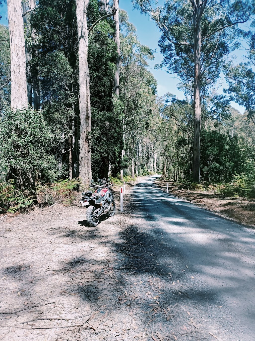 Southern Cross Motorbike tours | 1440 Mole Creek Rd, Chudleigh TAS 7304, Australia | Phone: 0408 646 327