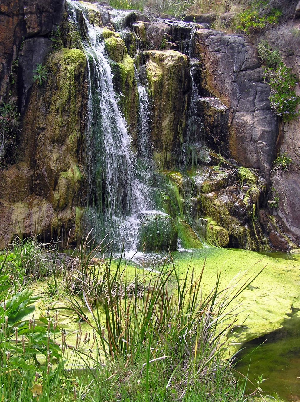Quinninup Falls | park | Wilyabrup WA 6280, Australia