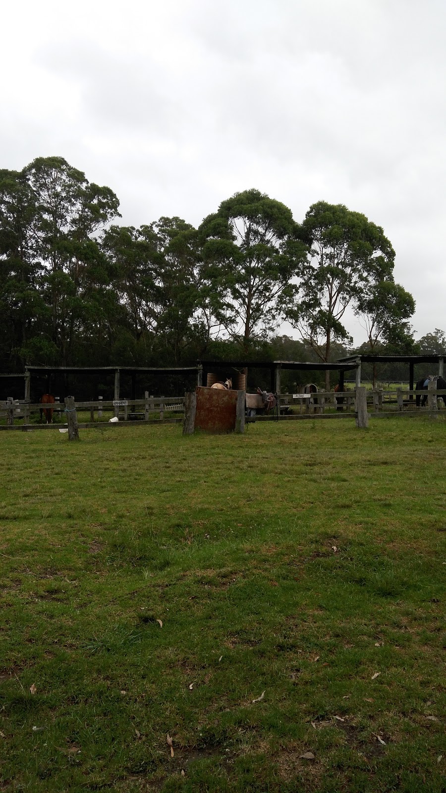 Valhalla Horse Riding and Farm Holidays | 39 Falls Rd, Falls Creek NSW 2540, Australia | Phone: (02) 4447 8320