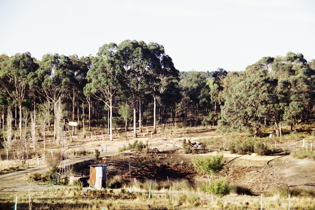 Dalpura Farm | 15 Thielemanns Rd, Gherang VIC 3240, Australia | Phone: 0407 652 554