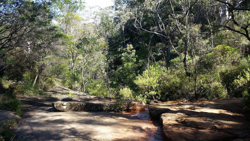 Dantes Glen Walking Track | park | 49 Sayers St, Lawson NSW 2783, Australia