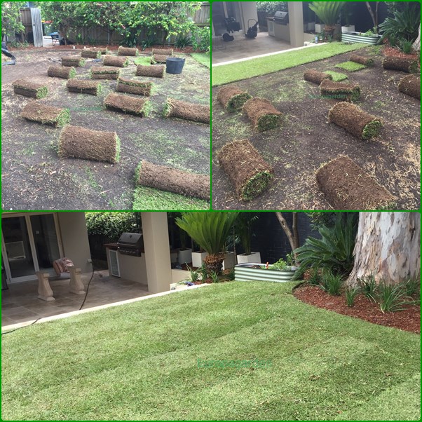 Gardening Service Sydney | general contractor | Unit 4/535 Old South Head Rd, Rose Bay NSW 2029, Australia | 0412390571 OR +61 412 390 571