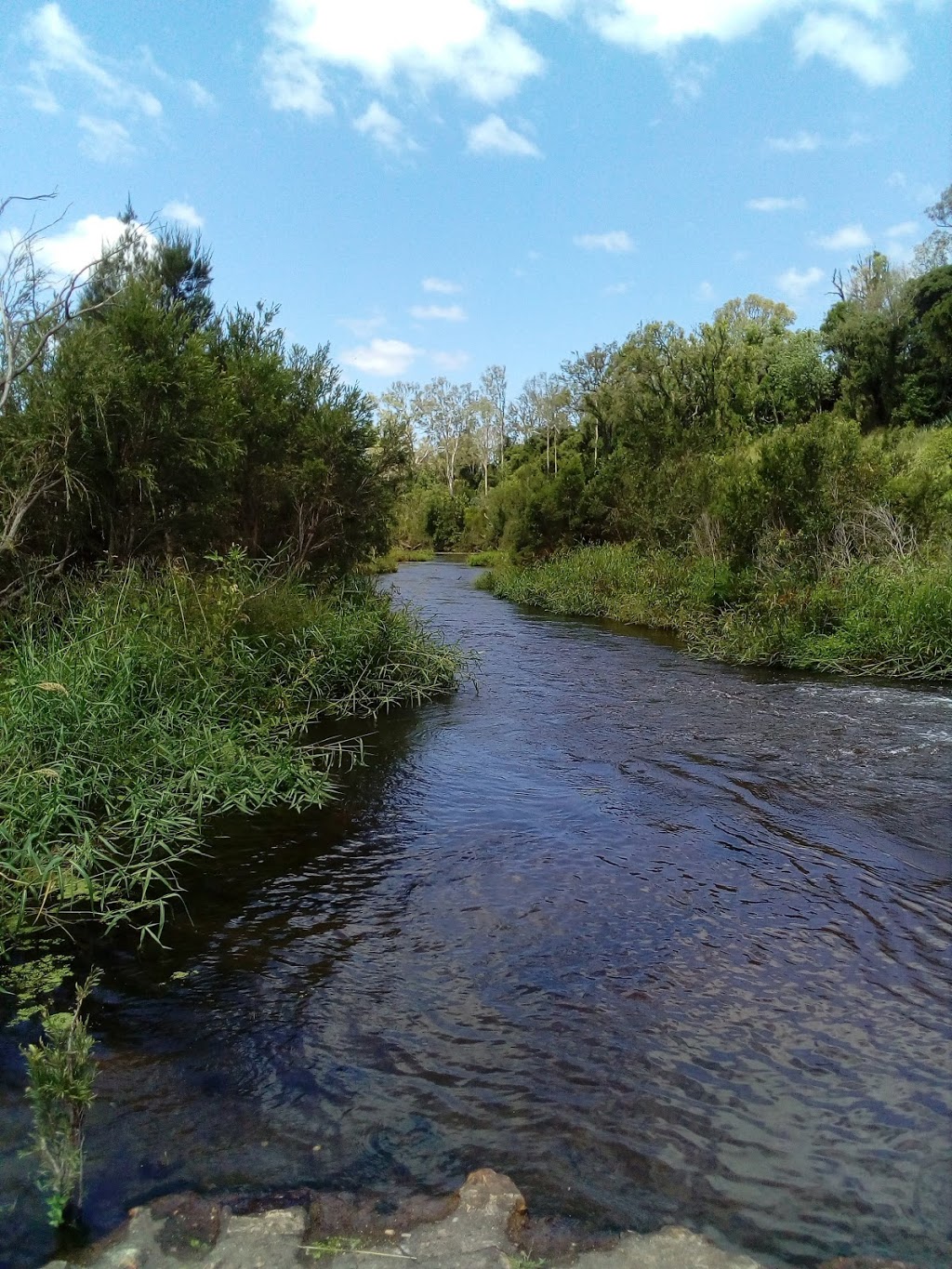 Basil McLellan Park | Bucca QLD 4670, Australia