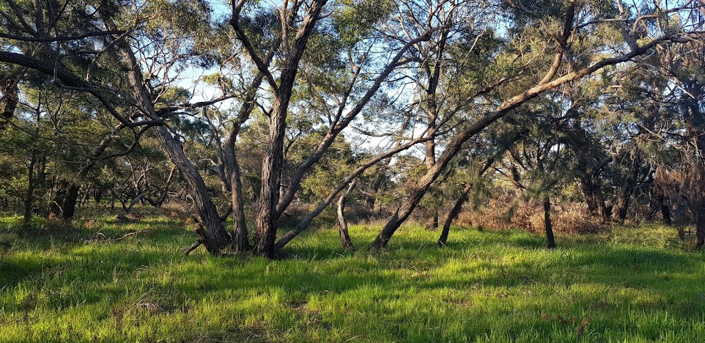 Rowan Woodland Reserve | 13A Teralba Cl, Dingley Village VIC 3172, Australia