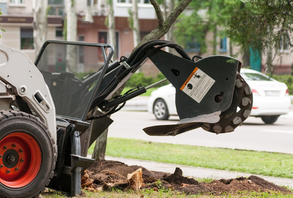 Cut Price Tree Service | Servicing Bankstown, Canterbury, Fairfield, Liverpool, Parramatta, Homebush Villawood, Guildford, Granville, Lidcombe, Merrylands, Auburn, Greystanes Cabramatta, Yagoona, Greenacre, Revesby, Strathfield, Milperra, 12 Badger Ave, Sefton NSW 2162, Australia | Phone: 0405 647 163
