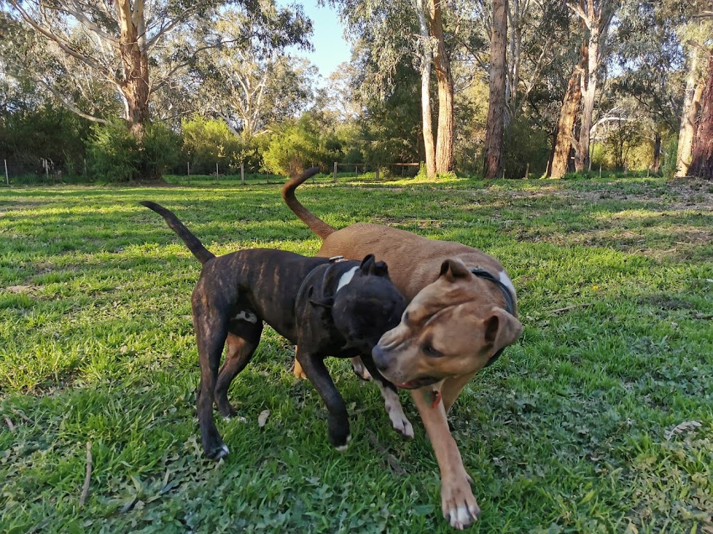 Banksia Park Off Leash Dog Park | Unnamed Road, Bulleen VIC 3105, Australia