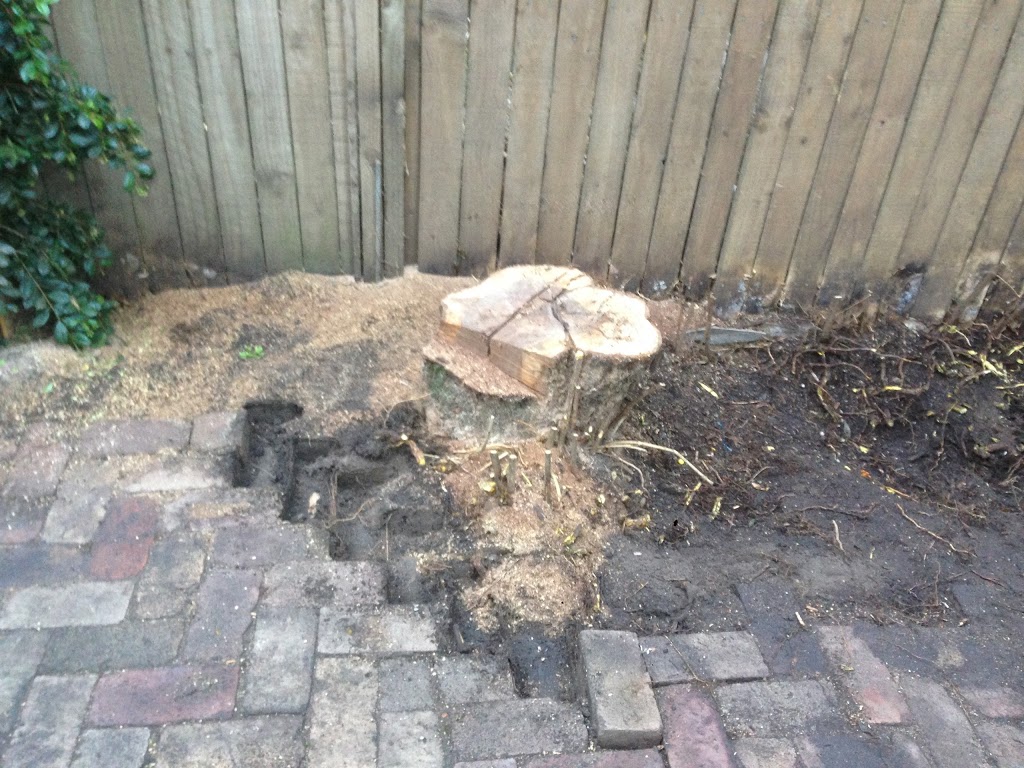 Stump Removal Sydney - Stump Grinding | 13 Antares Pl, Cranebrook NSW 2749, Australia | Phone: 0402 887 920