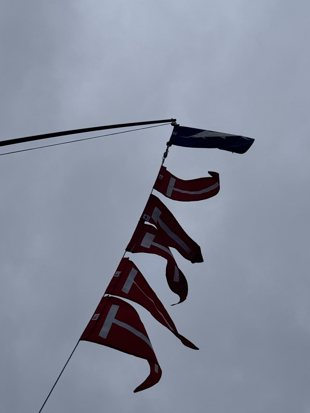 Head Hunter Charters | Bermagui Fishermans Wharf, Lamont St, Bermagui NSW 2546, Australia | Phone: 0428 995 400