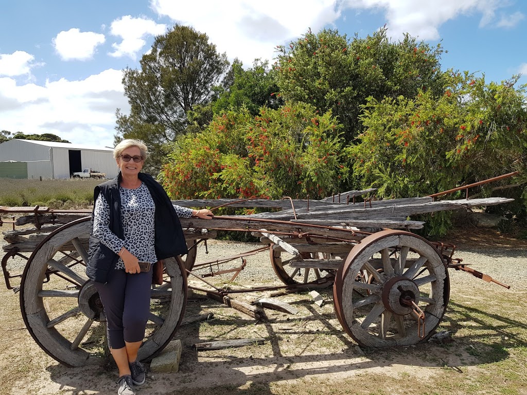 Emu Bay Lavender Farm | 205 Emu Bay Rd, Wisanger SA 5223, Australia | Phone: (08) 8553 5338