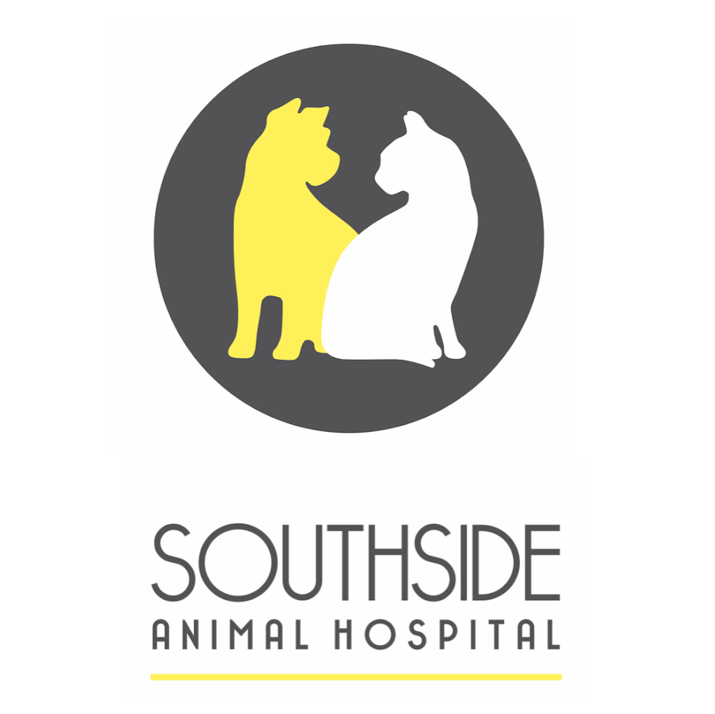 Southside Animal Hospital Gymea | veterinary care | 73 Gymea Bay Rd, Gymea NSW 2227, Australia | 0295235500 OR +61 2 9523 5500