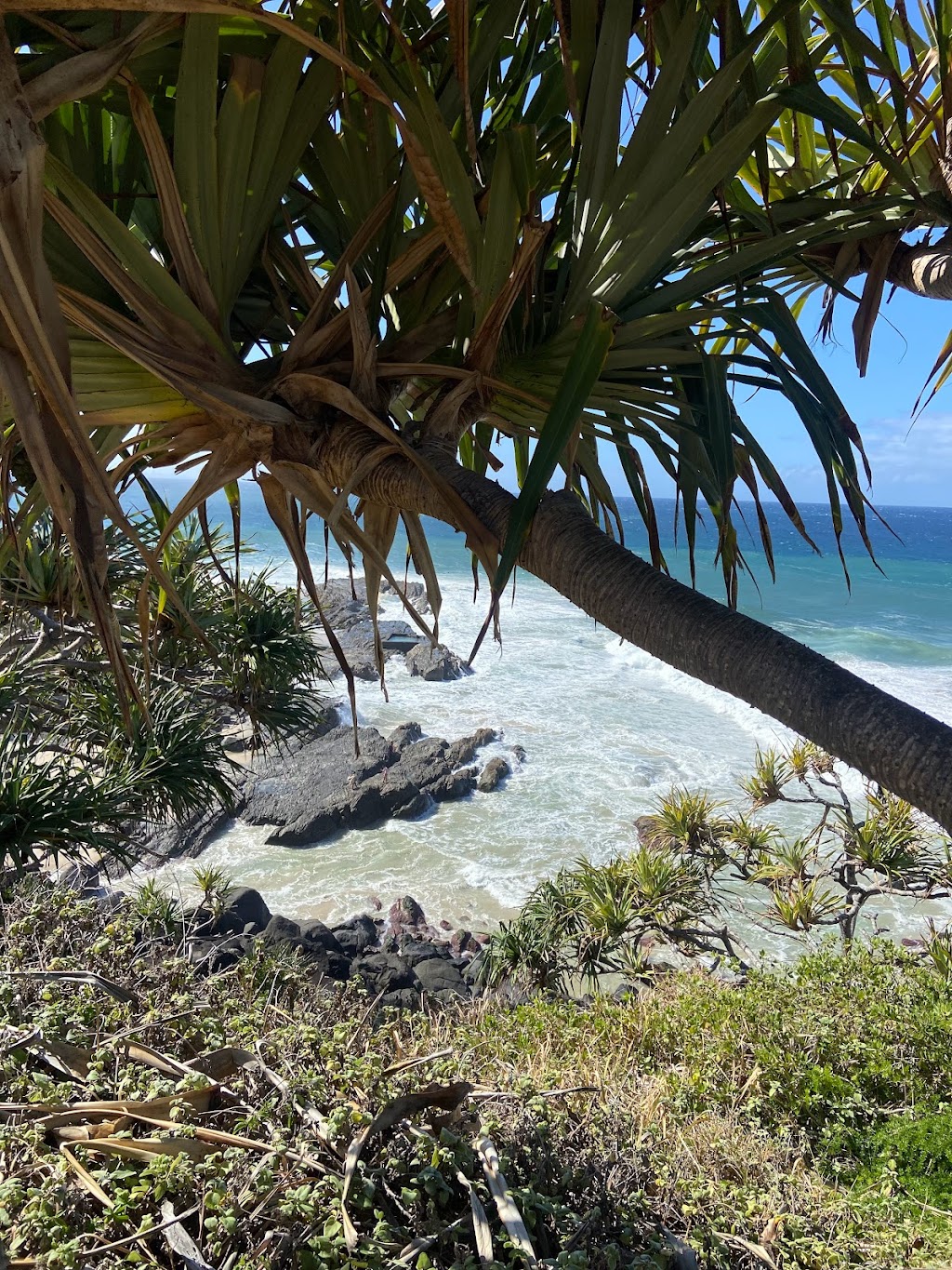 Coolhoon - Traditional Aboriginal Ceremonial Location | Tweed Tce, Coolangatta QLD 4225, Australia | Phone: 0467 523 618