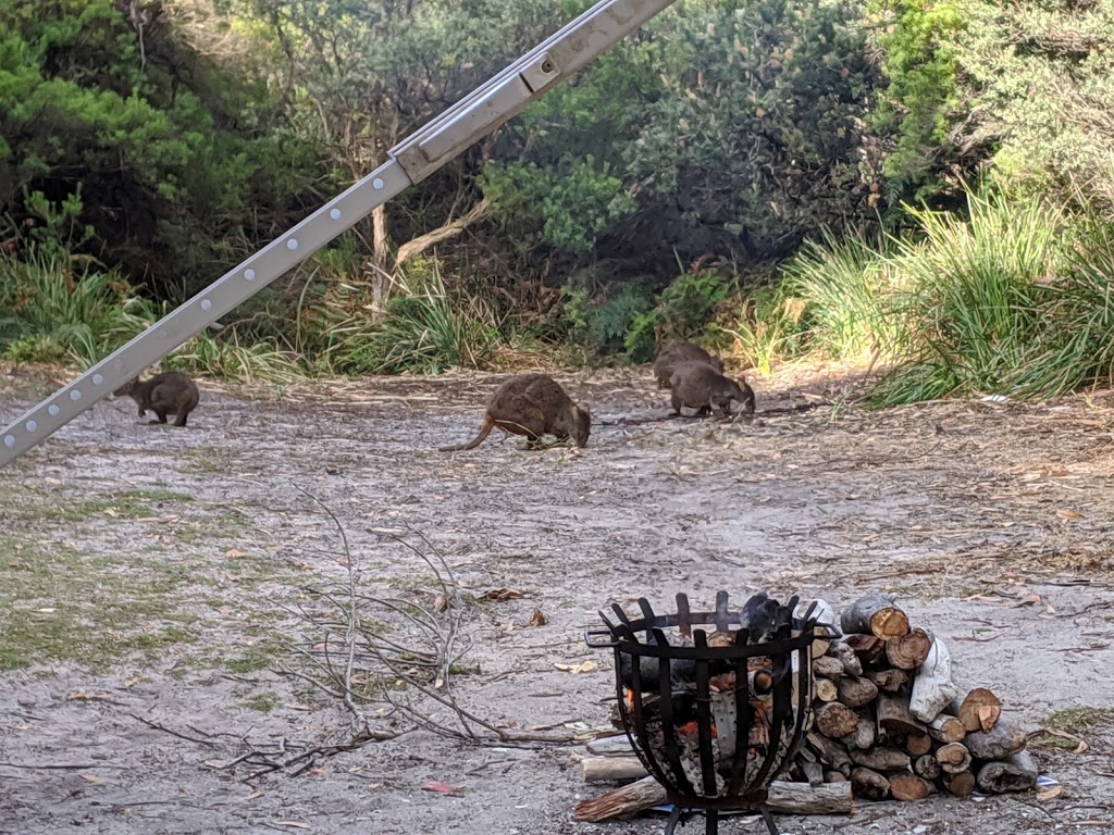 Manuka Campground | Unnamed Road, Arthur River TAS 7330, Australia