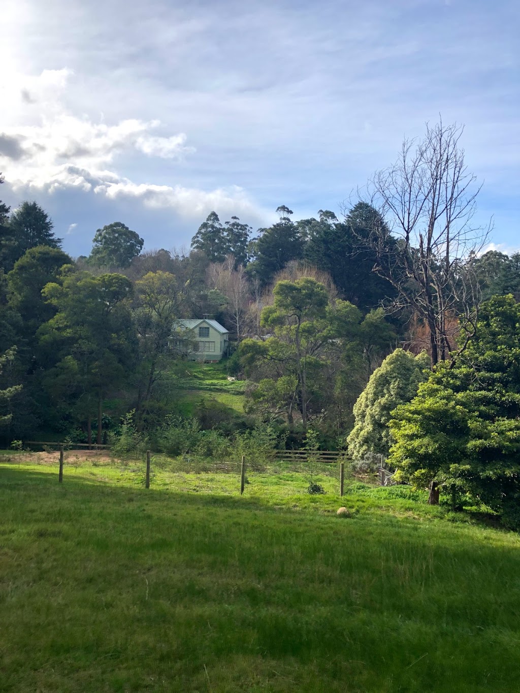 Puffing Billy Railway Trestle Bridge | Belgrave-Gembrook Rd, Belgrave VIC 3160, Australia | Phone: (03) 9757 0700