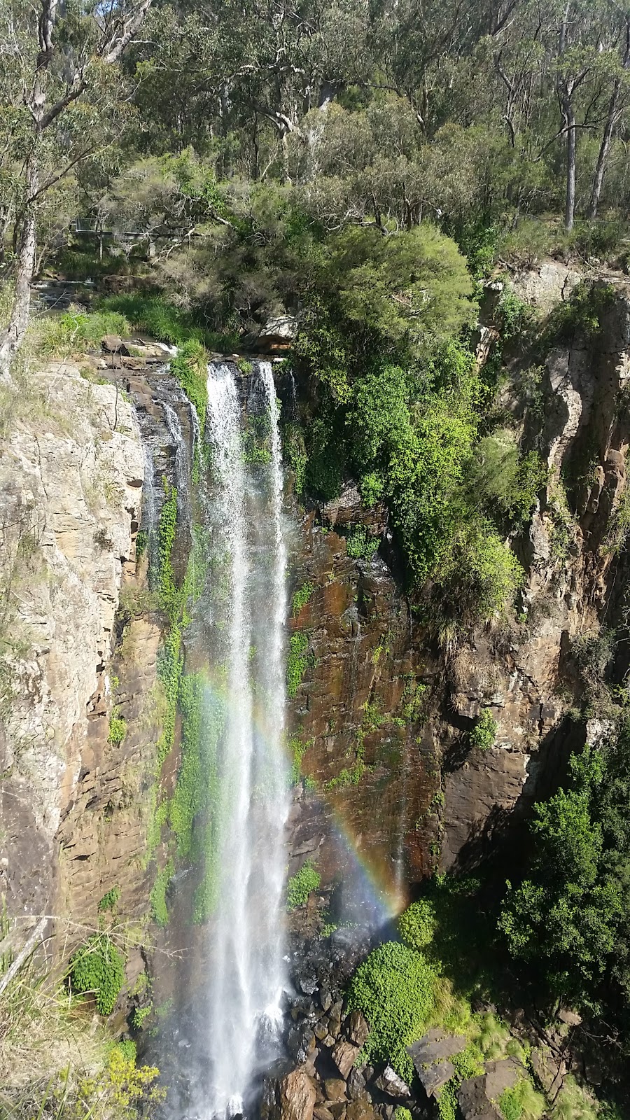 Main Range National Park | park | Cunningham Hwy, Warwick QLD 4370, Australia | 137468 OR +61 137468