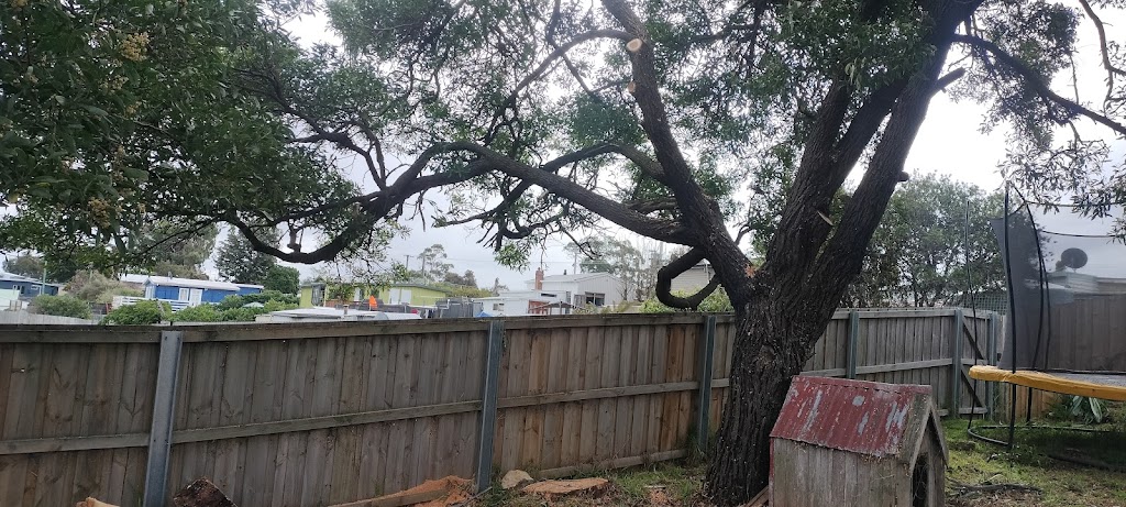 ASAP Arborist | 299 Millvale Rd, Dromedary TAS 7030, Australia | Phone: 0430 682 039