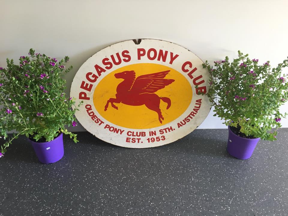 Pegasus Pony Club | 171-191 Greenwith Rd, Golden Grove SA 5125, Australia | Phone: 0410 105 377