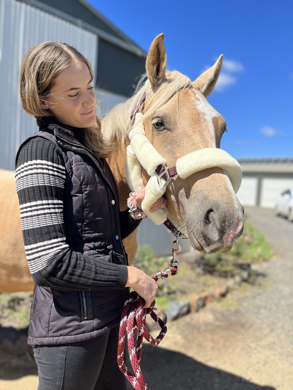 Equi-Guard | 300 Dixons Ln, Ramsay QLD 4358, Australia | Phone: 0488 787 616 Equi-Guard | 300 Dixons Ln, Ramsay QLD 4358, Australia | Phone: 0488 787 616