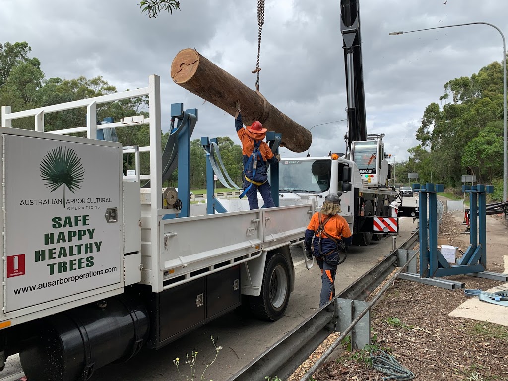 Australian Arboricultural Operations Pty Ltd | 85 Waterford Tamborine Rd, Waterford QLD 4133, Australia | Phone: 0402 209 925