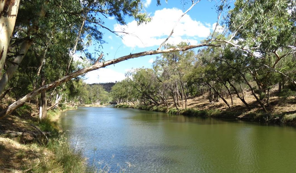 Boobook Ecotours Outback Queensland |  | 15 Quintin St, Roma QLD 4455, Australia | 0746222646 OR +61 7 4622 2646