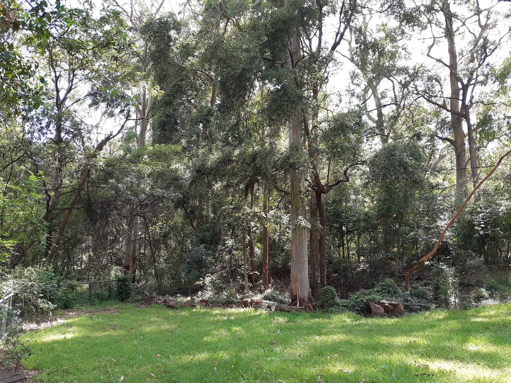 Blue Gum Park | park | Dulwich Rd, Roseville NSW 2069, Australia