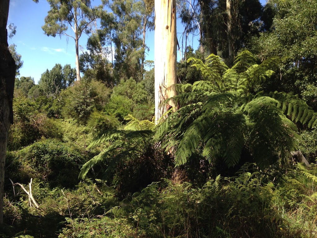 Cann River Caravan Park | Cann River VIC 3890, Australia