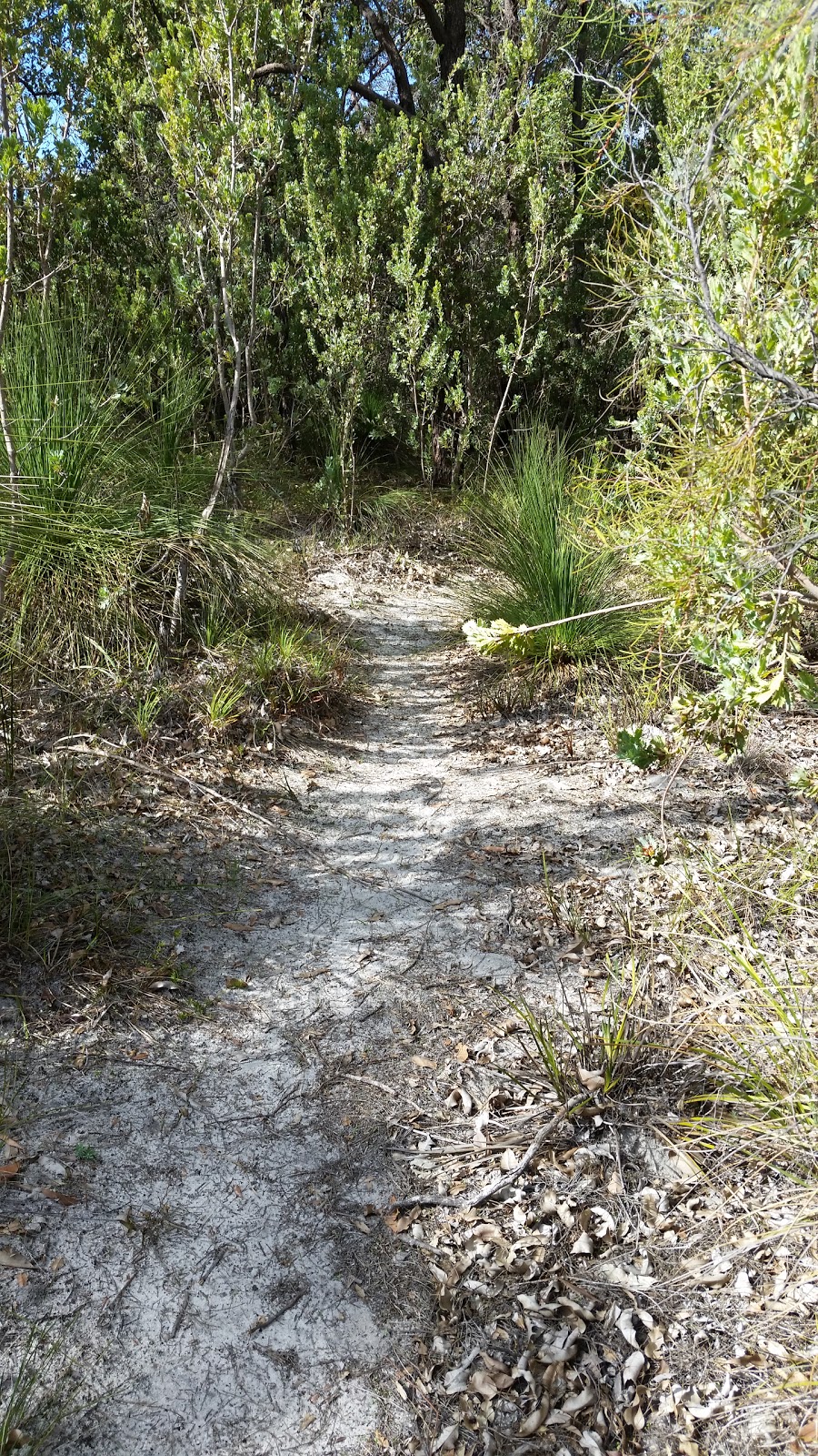 Talbot Road Nature Reserve | park | Stratton WA 6056, Australia