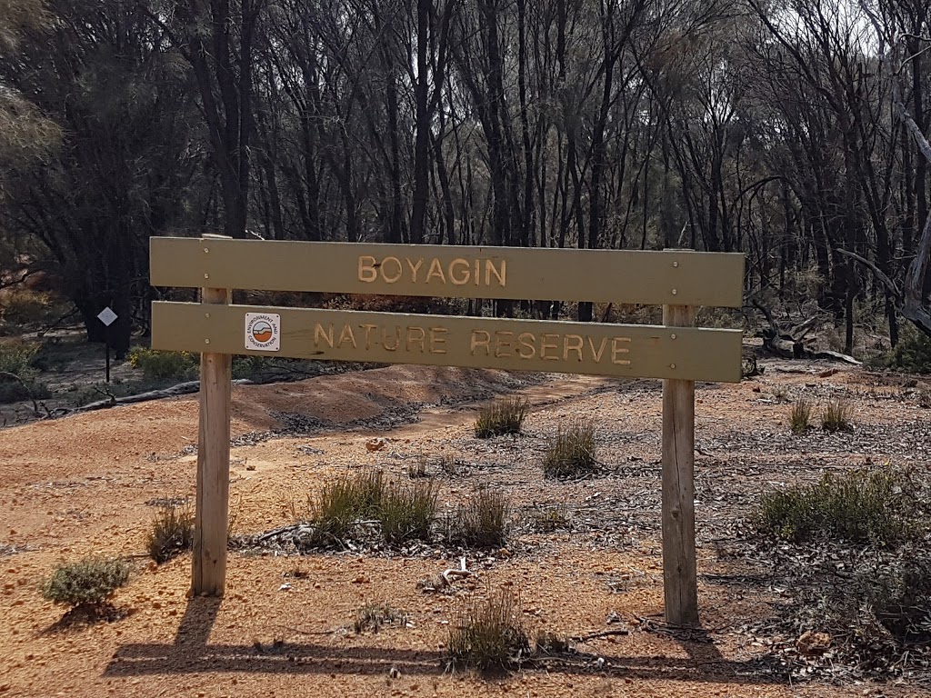 Boyagin Nature Reserve | park | Western Australia, Australia