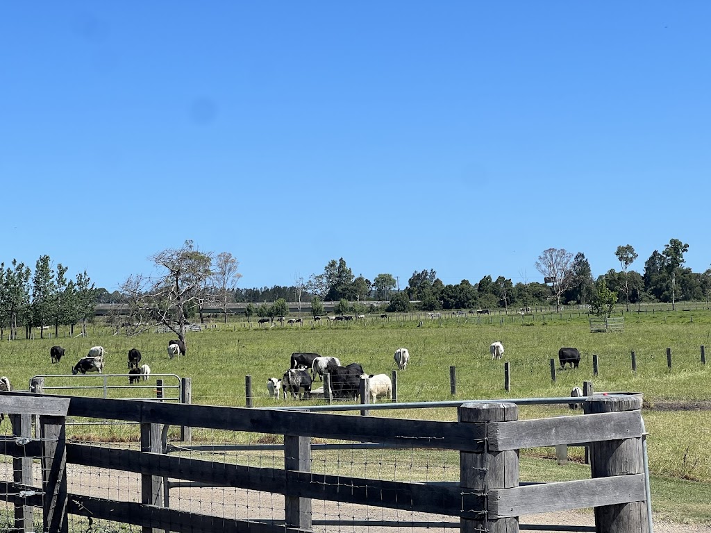 Gotcha Speckle Park | 43 Dumaresq Island Rd, Dumaresq Island NSW 2430, Australia | Phone: 0488 988 244
