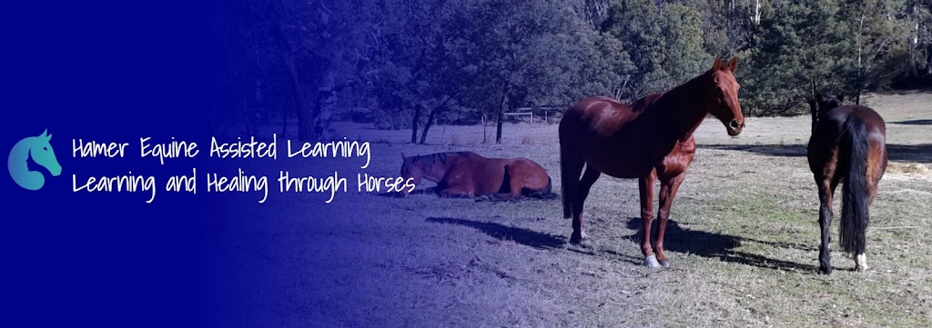 H.E.A.L - Hamer Equine Assisted Learning | health | 181 Marsh Ct, Woodend VIC 3442, Australia | 0411549562 OR +61 411 549 562